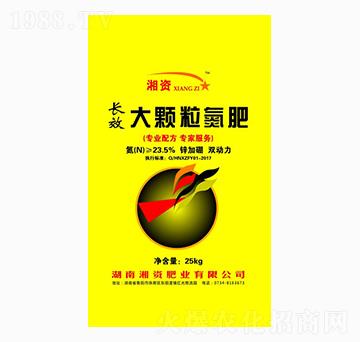 ���w������-���Y