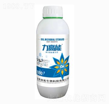 �����������}-�ĺ�����