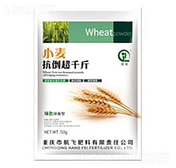 С��������ǧ��-���л���