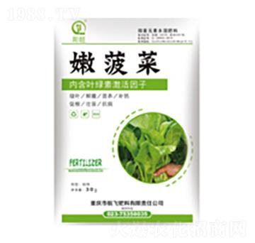 �۲���-���л���