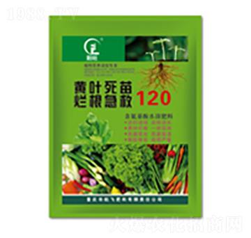 �S�~���砀������-���л���