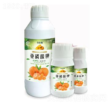 �̽ی��Á������-���л���