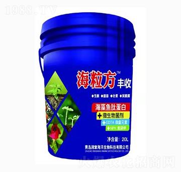 �����~�ĵ���-������-��(r��n)�º���