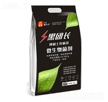 ΢�������-�ڈF�L-�T���S����