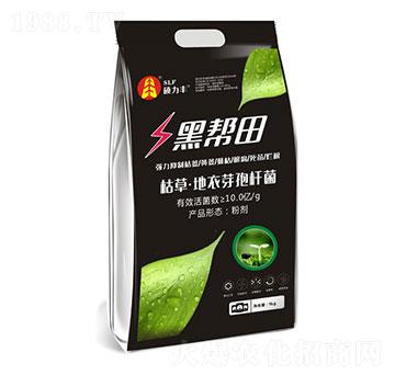 ΢�������-�ڎ���-�T���S����