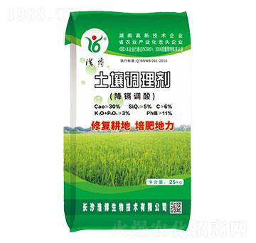 �����{�턩-�Ʋ�����