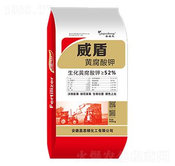 �����S�����-������-��˼�D