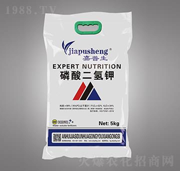 ��������������-��˼�D