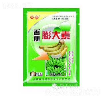 �㽶�����-���S�r(n��ng)��