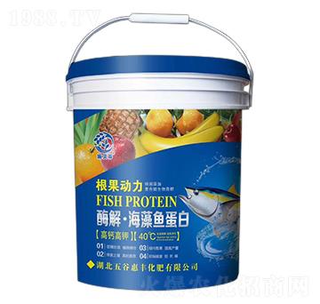 酶解海藻魚蛋白-根果動力-五谷惠豐