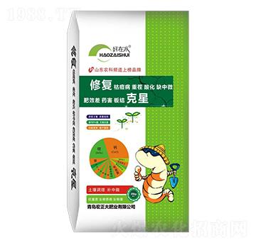 �ޏͿ���-������ʘI(y��)