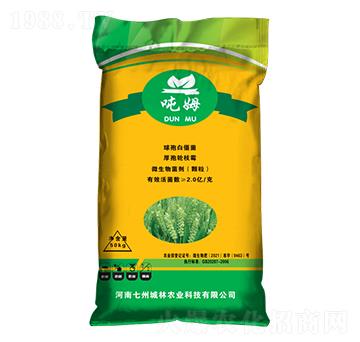 ��ʮ��С���������طN��-��ķ-���ݳ���