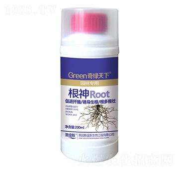 ����-��G����-�и�����