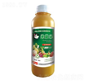 �I�B(y��ng)��sҺ-��(y��u)���a(b��)-�и�����