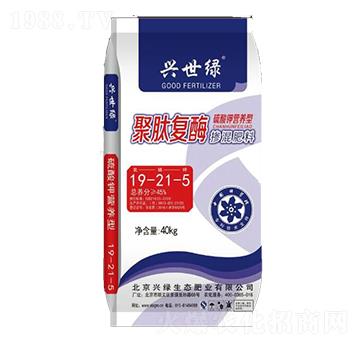 ���ď�(f��)ø���С����19-21-5-�d���G