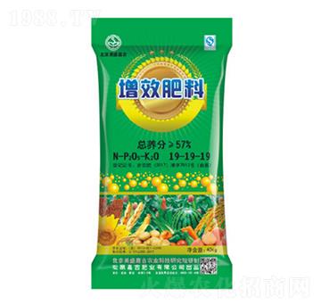 增效肥料19-19-19-美盛嘉吉