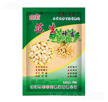 ������¶-�ΰ�-�����߷ʘI(y��)