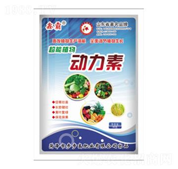 ֲ�������-�ΰ�-�����߷ʘI(y��)