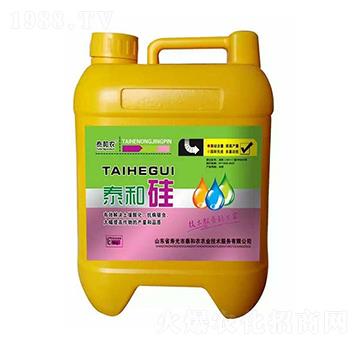 ̩�͹�-������r(n��ng)