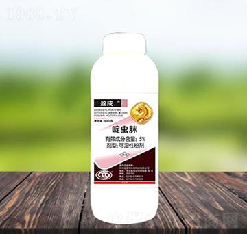 5%��x��-ӯ��-������