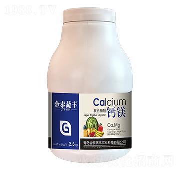 �ͺ��Ǵ��}�V-��̩���S