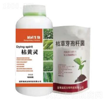 �A(y��)�����Sή���S��M��-���S�`-�\(ch��ng)������