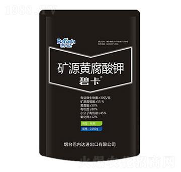 �VԴ�S�����-�̿�-�̓�(n��i)�_(d��)