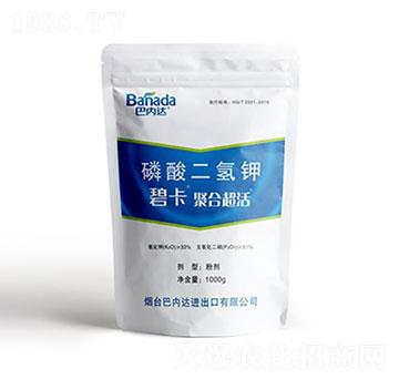 ��������-�̿�-�̓�(n��i)�_