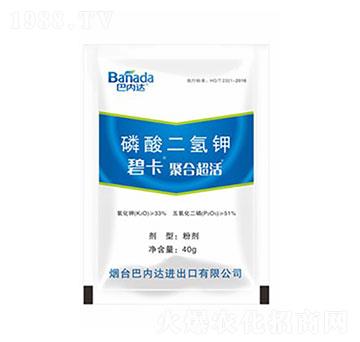 40g��������-�̿�-�̓�(n��i)�_(d��)