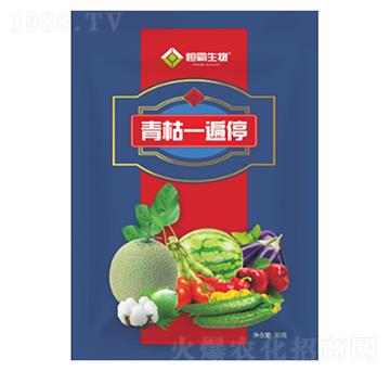 ���һ��ͣ-�������