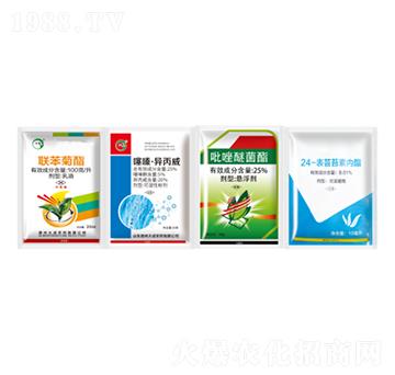 ȫ�Ø��ײ�-��ɂ��I(y��)