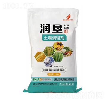 �����{(di��o)�턩-��(r��n)��-���A����