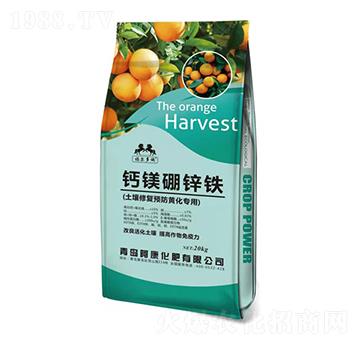 �����ޏ�(f��)�A(y��)���S����(zhu��n)��-�}�V���\�F-��������