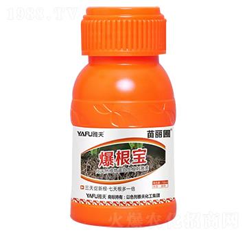 ������-������-�ŷ�