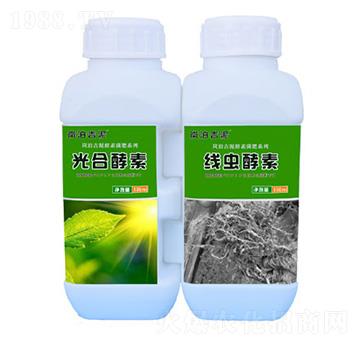 ���x����+��Ͻ���-�p���r(n��ng)�I(y��)