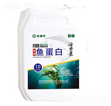 ø���~����-�����-����r(n��ng)�I(y��)