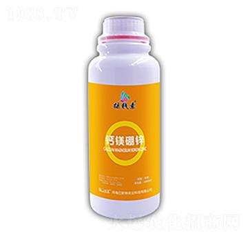 �}�V���\-�u�X������