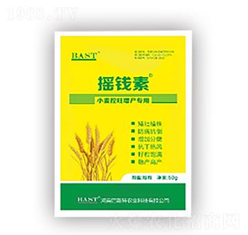 С���������a(ch��n)����-�u�X������