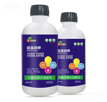 ̼�����-����¡