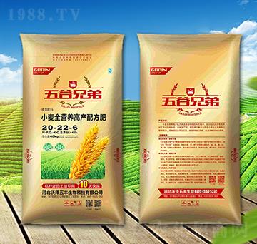 ȫ�I�B(y��ng)С��һ�η�20-22-6-�֝����S