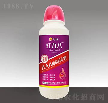 ���ь�(zhu��n)���~���-�t�Ű�-��ȸ