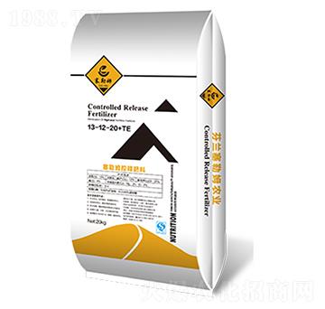 ��ጷ���13-12-20+TE-�����t