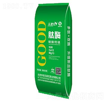 �����}�V26-12-13-�����t