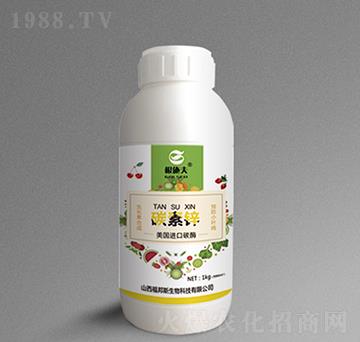 碳素鋅-根施夫-福邦斯