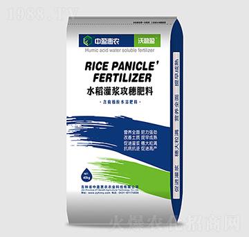 水稻灌漿攻穗肥料-沃碧盈-中盈惠農