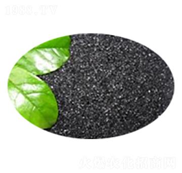 Ƭ�ֲ���-ʢ��������