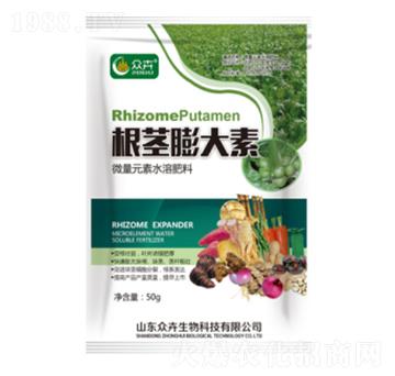 ���o�����-��������