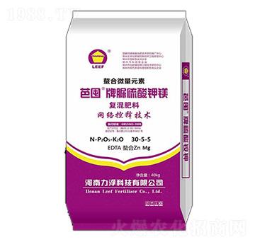 �W�j���ጷ�30-5-5-�Ŷ���-�����Ƽ�