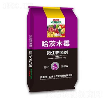 ����ľù-΢�������-�P�Z��