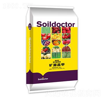 �VԴ����-�P�Z��